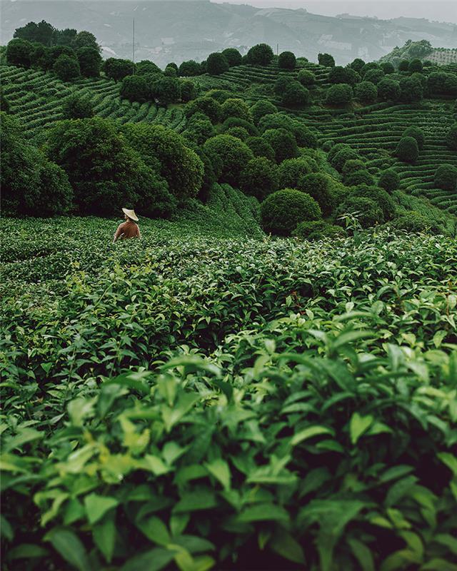 Image of coffee